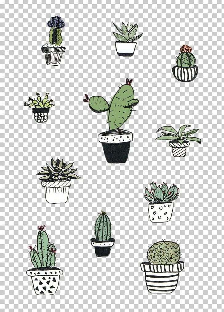 Cactaceae Cactus And Succulents Drawing Succulent Plant PNG, Clipart, Botanical Illustration, Cactaceae, Cactus, Cactus And Succulents, Color Free PNG Download