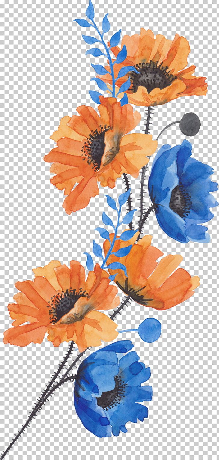 Common Poppy Flower PNG, Clipart, Art, Blue, Bouquet Of Flowers, Bud, Comm Free PNG Download