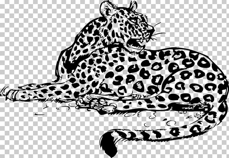 Whiskers Leopard Jaguar Wildcat PNG, Clipart, Animal, Animal Figure, Animals, Big Cats, Black Free PNG Download