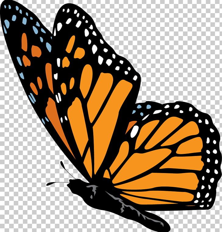 Monarch Butterfly Nymphalidae PNG, Clipart, Artwork, Black And White, Brush Footed Butterfly, Butterfly, Editing Free PNG Download