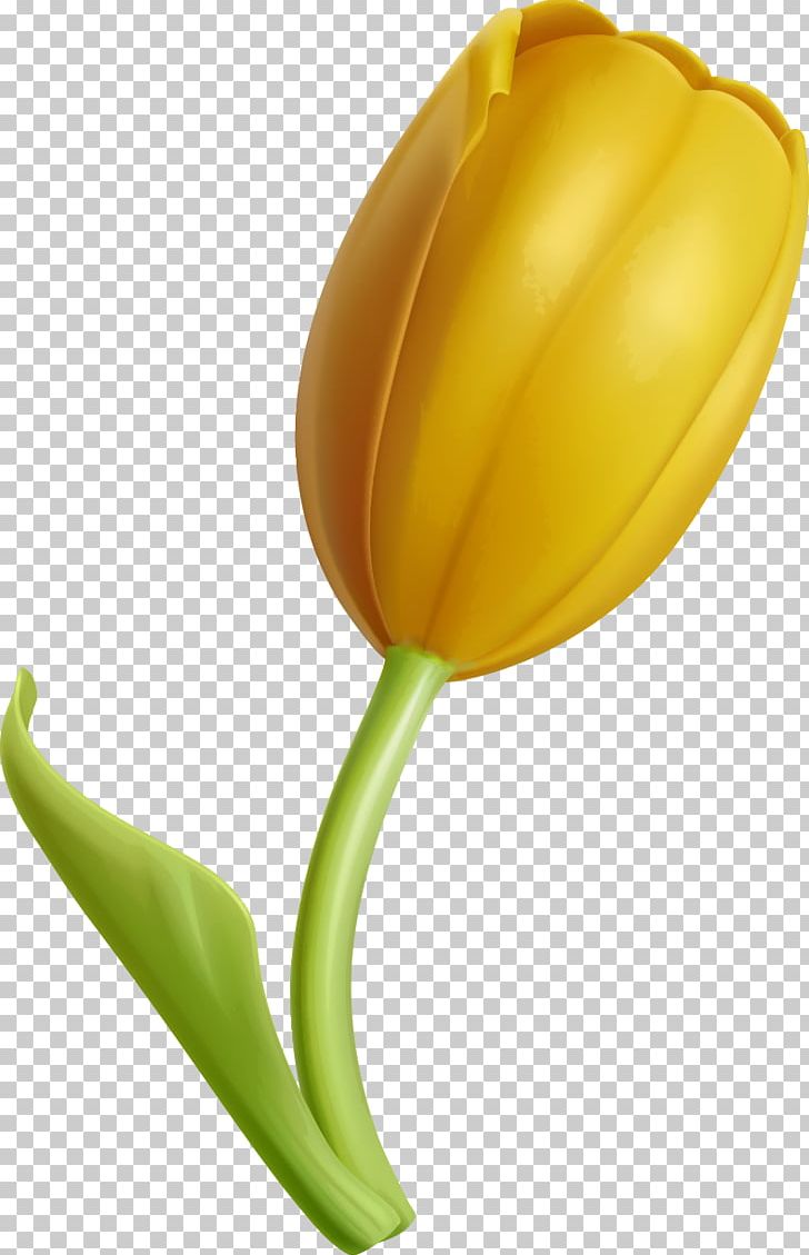 Tulip Yellow Flower PNG, Clipart, Computer, Computer Wallpaper, Designer, Download, Flower Free PNG Download
