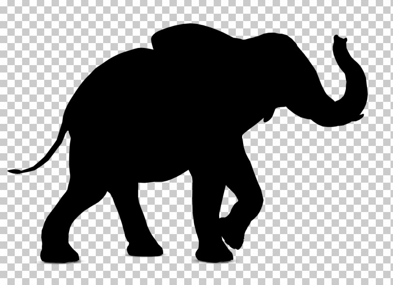 Indian Elephant PNG, Clipart, African Elephant, Animal Figure, Blackandwhite, Elephant, Indian Elephant Free PNG Download