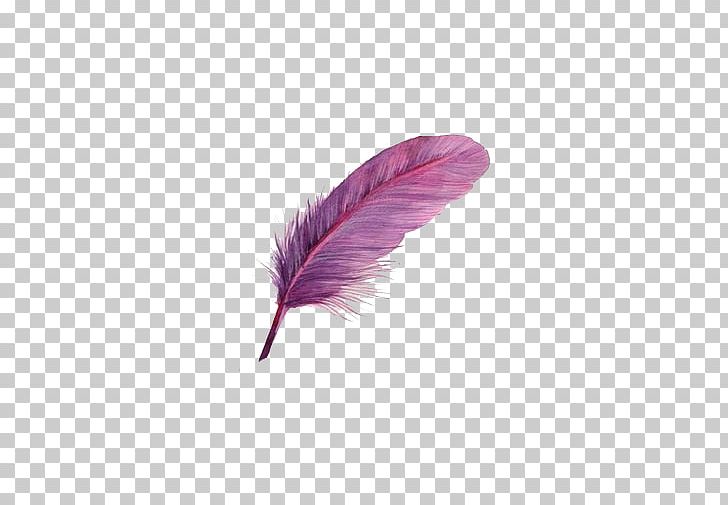 Bird Feather Purple PNG, Clipart, Animals, Bird, Bird Cage, Birds, Download Free PNG Download