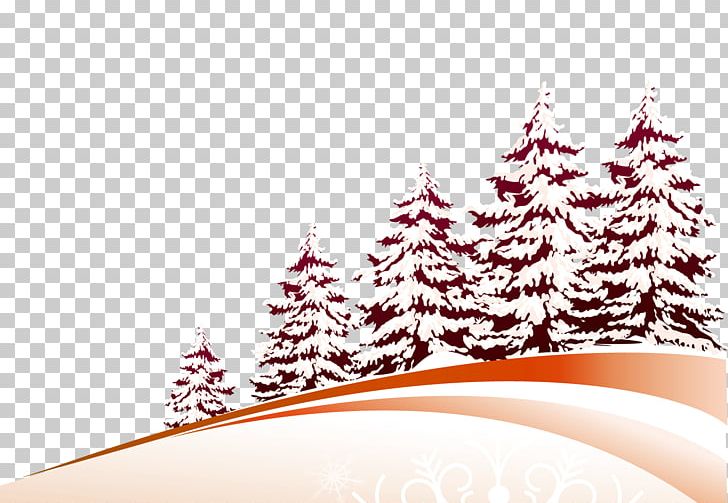 Christmas Tree Pine PNG, Clipart, Christmas, Christmas Frame, Christmas Lights, Christmas Tree, Flyer Free PNG Download
