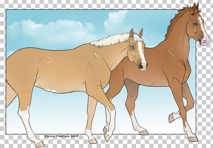 Mule Foal Stallion Mare Mustang PNG, Clipart,  Free PNG Download