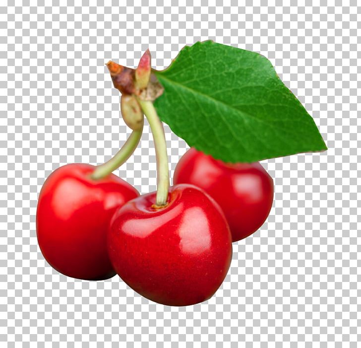 Prunus Tomentosa Cherry Cerasus Auglis PNG, Clipart, Acerola, Cherries, Cherry, Cherry Blossom, Cherry Blossom Tree Free PNG Download