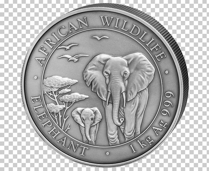 Silver Coin African Elephant Indian Elephant PNG, Clipart, African Elephant, Antique, Bullion, Bullion Coin, Coin Free PNG Download