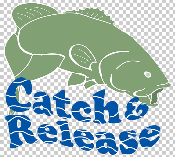 Catch And Release Bass Fishing Bass Fishing PNG, Clipart, Area, Artwork, Bass, Bass Fishing, Black And White Free PNG Download