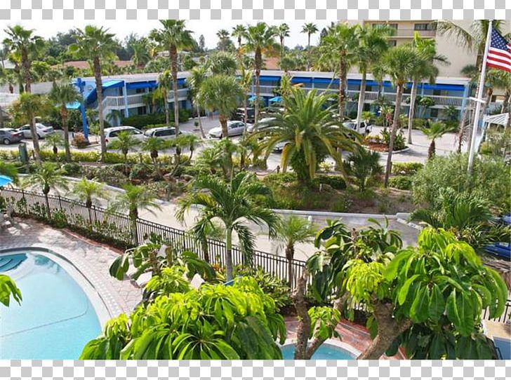 Siesta Beach Seaside Resort Hotel PNG, Clipart, Arecales, Beach, Diani Sea Resort, Expedia, Flora Free PNG Download