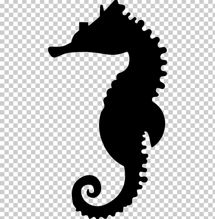 Silhouette New Holland Seahorse PNG, Clipart, Animal, Animals, Artwork, Black And White, Fish Free PNG Download