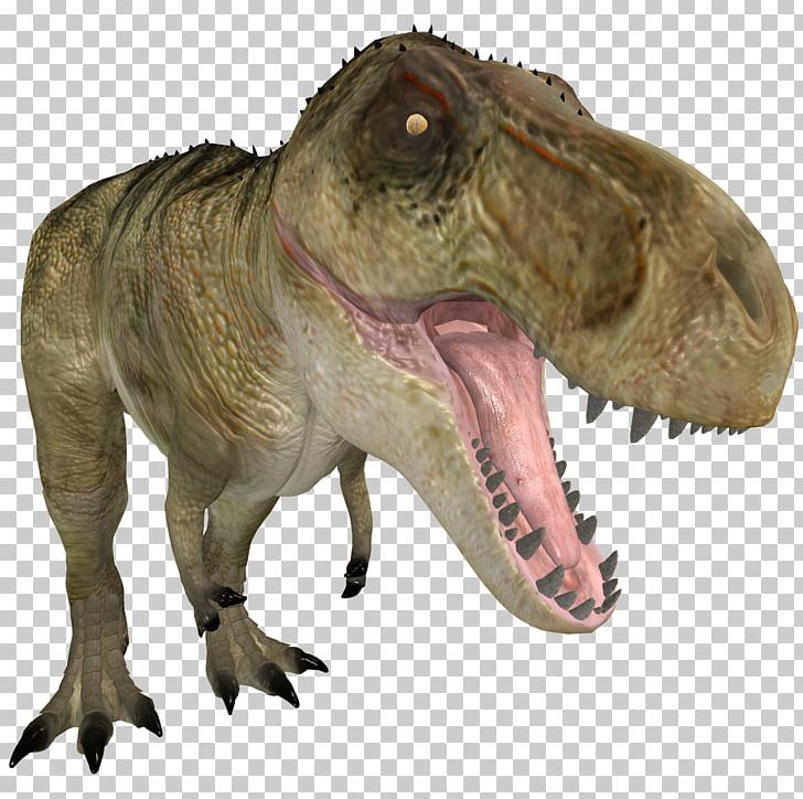 Tyrannosaurus Rex Allosaurus 3D Computer Graphics PNG, Clipart, 3d Computer Graphics, 3d Modeling, Allosaurus, Anatomy, Dinosaur Free PNG Download