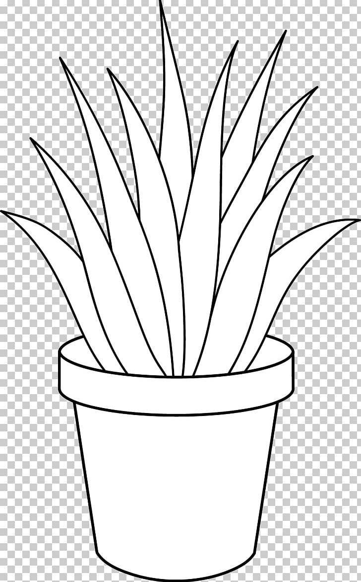 Aloe Vera Houseplant Black And White PNG, Clipart, Agave, Aloe, Aloe Vera, Artwork, Black And White Free PNG Download