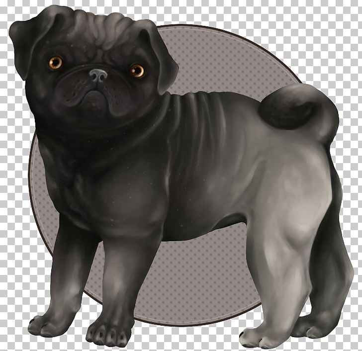 Pug Puppy Dog Breed Snout Pet PNG, Clipart, Animals, Breed Group Dog, Canidae, Carnivora, Carnivoran Free PNG Download