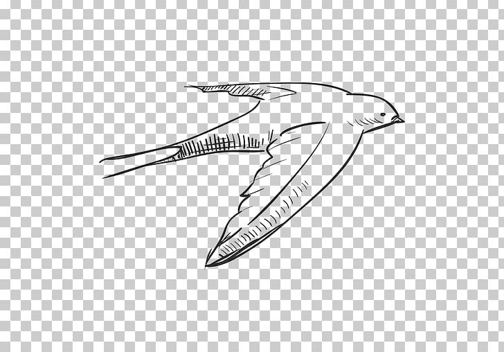 Bird Swallow Drawing PNG, Clipart, Angle, Animals, Artwork, Barn Swallow, Beak Free PNG Download