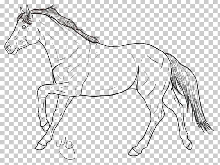 Line Art Mane Mustang Pony Stallion PNG, Clipart, Animal Figure, Artwork, Black And White, Bridle, Colt Free PNG Download