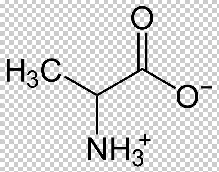β-Alanine Zwitterion Amino Acid Alanine Transaminase PNG, Clipart, Acid, Alanine, Alanine Transaminase, Amine, Amino Acid Free PNG Download