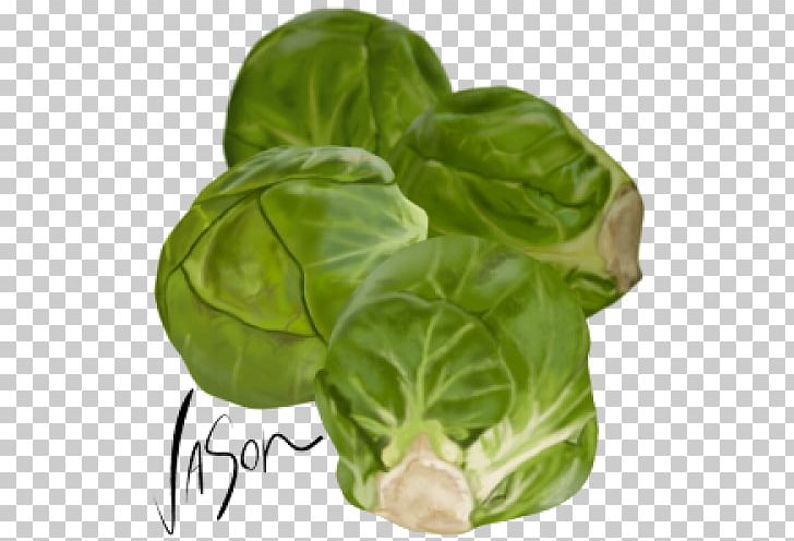 Brussels Sprout Vegetarian Cuisine Collard Greens Capitata Group Spring Greens PNG, Clipart, Basil, Brassica, Brussels, Brussels Sprout, Brussels Sprouts Free PNG Download
