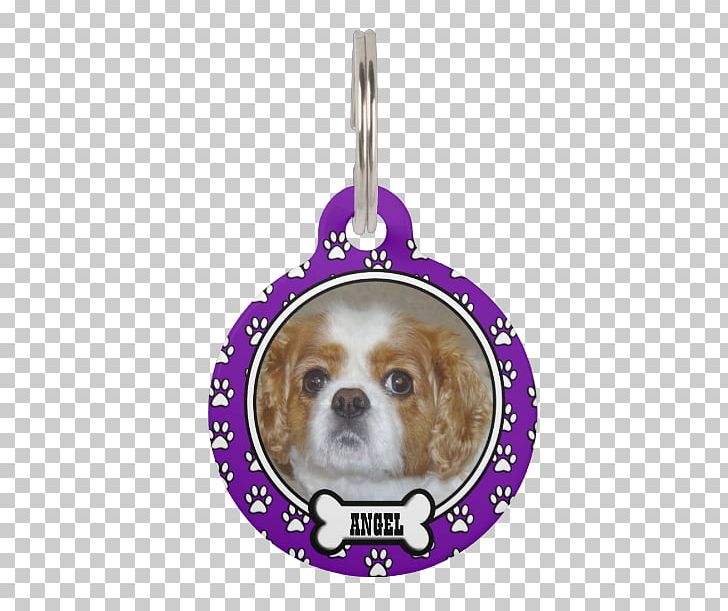 Cavalier King Charles Spaniel Pug Puppy Dog Breed PNG, Clipart, Animals, Carnivoran, Cavalier King Charles Spaniel, Christmas Ornament, Dog Free PNG Download