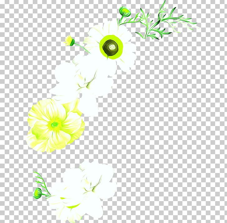 Flower PNG, Clipart, Area, Chrysanthemum, Chrysanthemum Chrysanthemum, Chrysanthemum Flowers, Chrysanthemums Free PNG Download