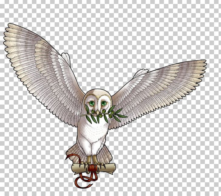 Owl Fauna Beak Falcon PNG, Clipart, Animals, Beak, Bird, Bird Of Prey, Falcon Free PNG Download