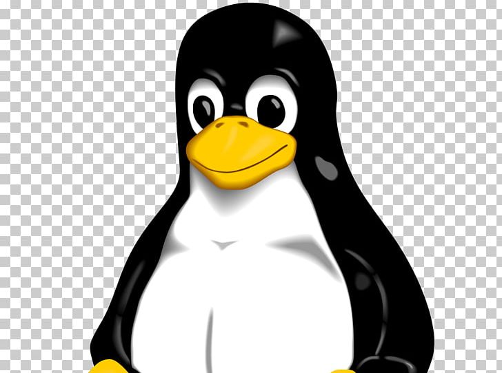 Tux Racer Linux Tuxedo GNU PNG, Clipart, Beak, Bird, Computer Software, Flightless Bird, Free Software Free PNG Download