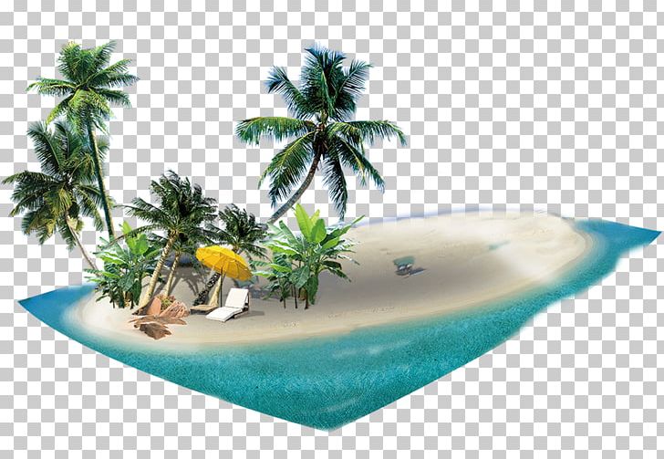 Zhuhai Haikou Shandong Airlines PNG, Clipart, Advertising, Beach, Christmas Tree, Coconut, Coconut Tree Free PNG Download