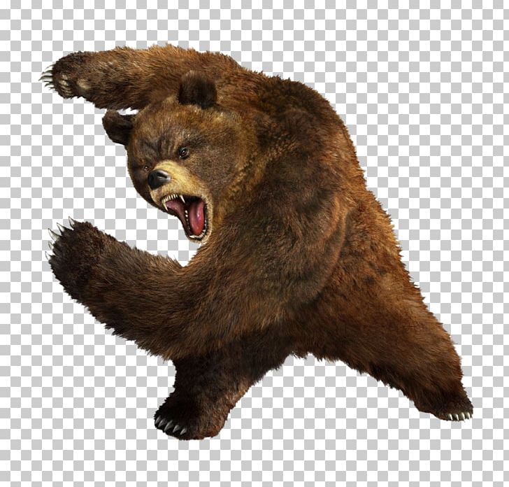 Fancy Bear Security Hacker Russian Interference In The 2016 United States Elections Cozy Bear PNG, Clipart, Animals, Bear, Brown Bear, Carnivoran, Computer Security Free PNG Download