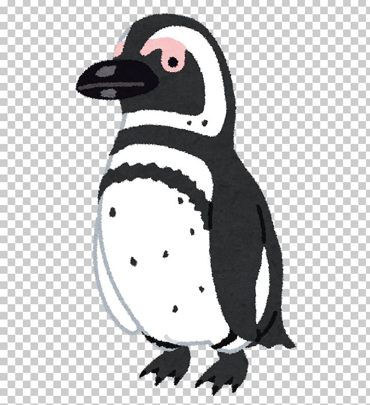 Magellanic Penguin African Penguin Humboldt Penguin Antarctica PNG, Clipart, African Penguin, Antarctica, Banded Penguin, Beak, Bird Free PNG Download
