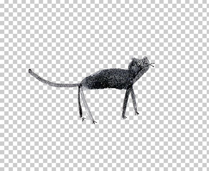 Rat Cat Dog Canidae Pet PNG, Clipart, Animal, Animal Figure, Animals, Batemans, Black And White Free PNG Download