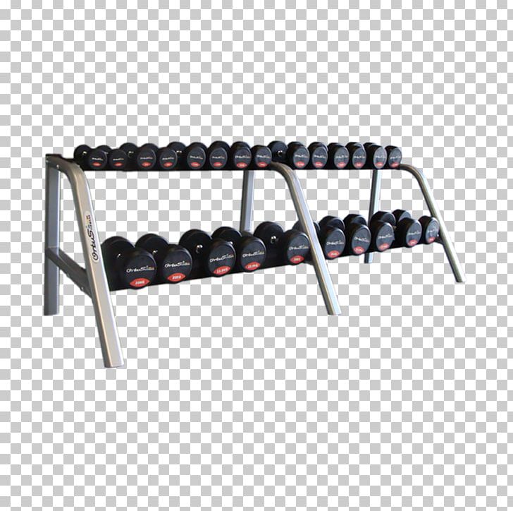 Dumbbell Fitness Centre Weight Training Physical Fitness PNG, Clipart, Angle, Automotive Exterior, Biceps, Bodybuilding, Cunt Free PNG Download