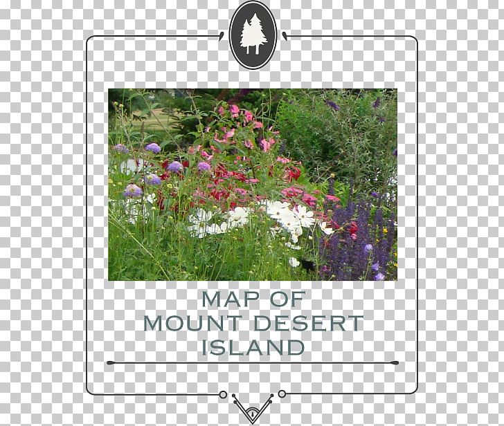 Garden Club Lawn Shrub Mount Desert PNG, Clipart, Email, Flora, Flower, Flowering Plant, Garden Free PNG Download