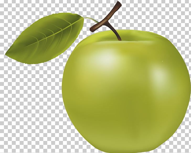 Granny Smith Manzana Verde Apple PNG, Clipart, Apple, Apple Fruit, Apple Logo, Apple Vector, Auglis Free PNG Download