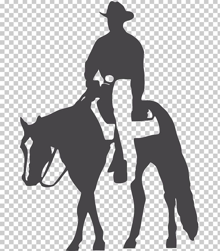 American Quarter Horse Appaloosa Western Pleasure Halter PNG, Clipart, American Quarter Horse, Appaloosa, Black, Collection, Cowboy Free PNG Download