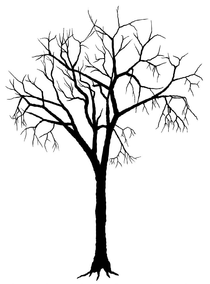 Tree Silhouette Deciduous PNG, Clipart, Artwork, Black And White, Branch, Deciduous, Drawing Free PNG Download
