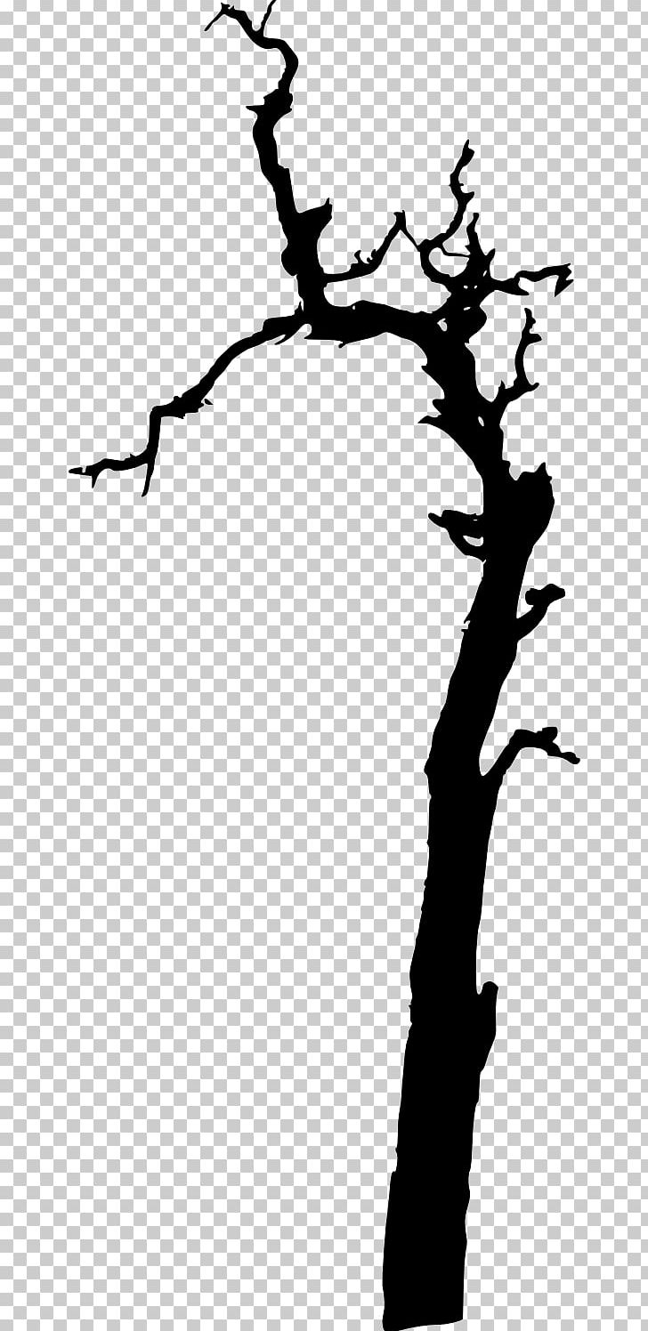Twig PNG, Clipart, Animals, Black And White, Branch, Drawing, Flower Free PNG Download