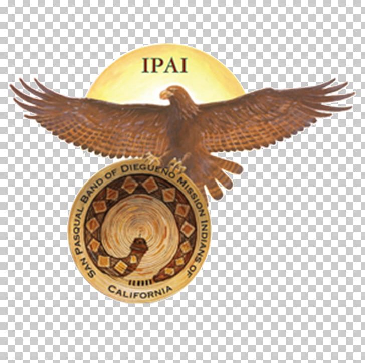 Valley Center San Pasqual Band Of Diegueno Mission Indians Native Americans In The United States Kumeyaay PNG, Clipart, Bird Of Prey, California, Eagle, India Festival, Indian Reservation Free PNG Download
