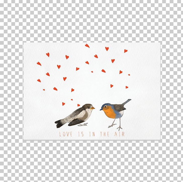 Beak Rectangle PNG, Clipart, Beak, Bird, Fauna, Material, Others Free PNG Download