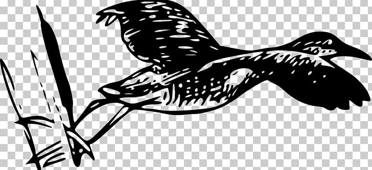 Bird Line Art Drawing PNG, Clipart, Animals, Art, Bird, Bird Flight, Bird Of Prey Free PNG Download