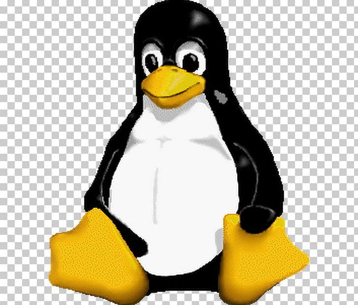 Club Penguin Linux Tux PNG, Clipart, Animals, Animated Film, Beak, Bird, Club Penguin Free PNG Download