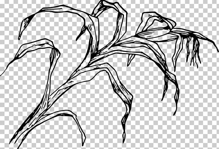 Drawing Line Art PNG, Clipart, Art, Artwork, Black And White, Branch, Drawing Free PNG Download