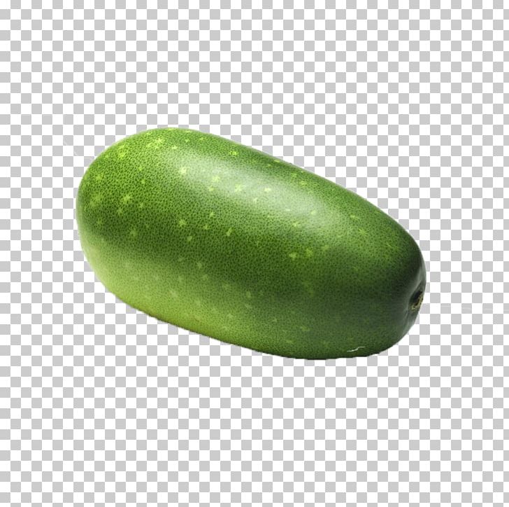 Wax Gourd Cucumber Avocado Fruit Melon PNG, Clipart, Avocado, Background Green, Cucumber, Cucumber Gourd And Melon Family, Cucumis Free PNG Download