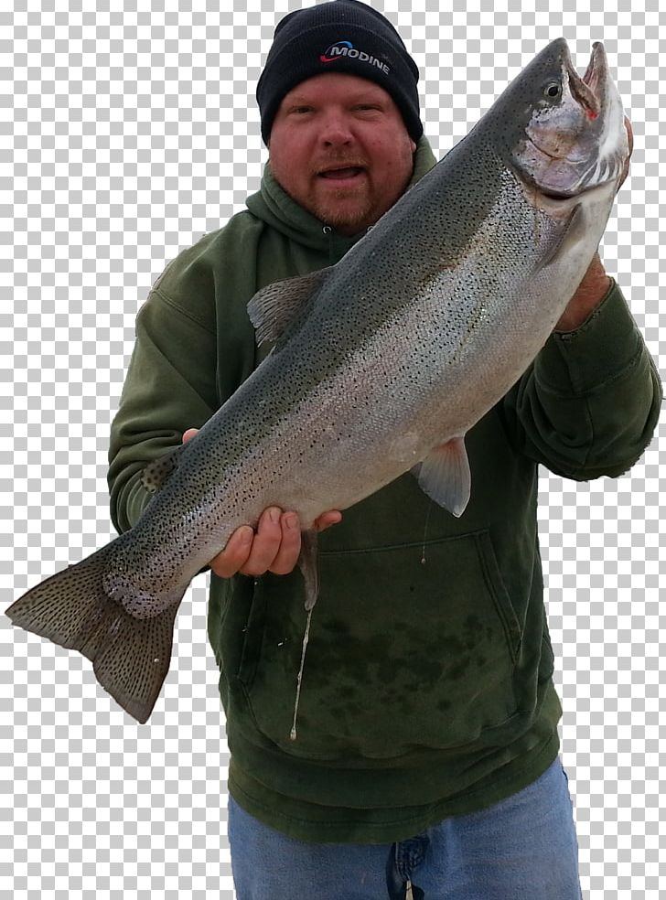 A1 Big Fish Charters Fishing Salmon Trout PNG, Clipart, Barramundi, Bass, Big Fish, Big Fish Games, Charter Free PNG Download