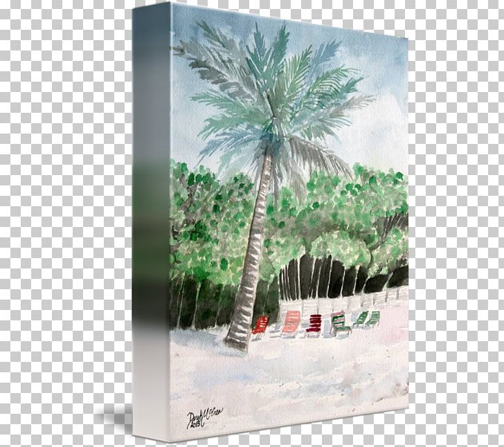 Asian Palmyra Palm Date Palm Arecaceae Borassus PNG, Clipart, Arecaceae, Arecales, Asian Palmyra Palm, Borassus, Borassus Flabellifer Free PNG Download