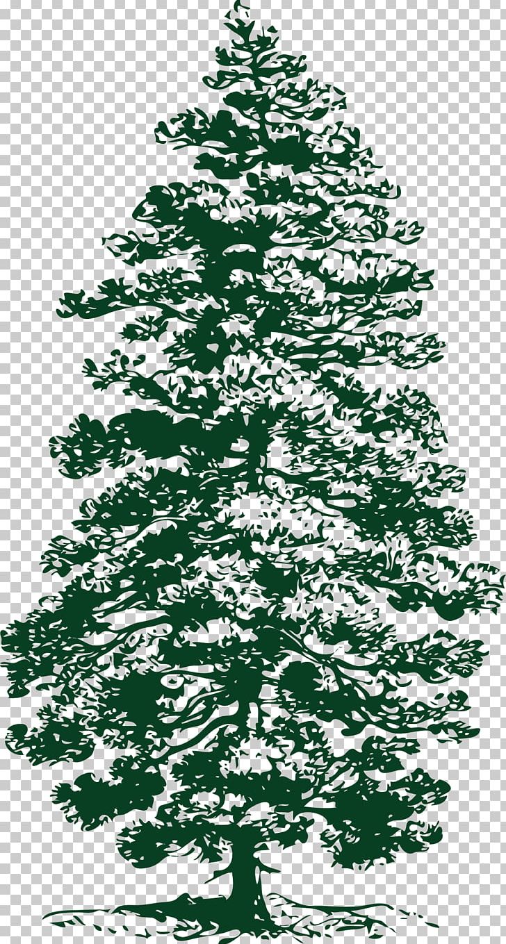 Eastern White Pine Tree PNG, Clipart, Art, Black And White, Branch, Christmas Decoration, Christmas Ornament Free PNG Download