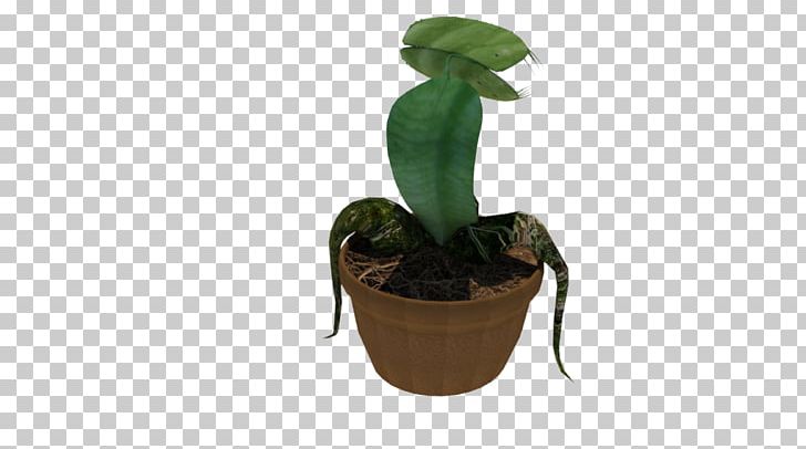 Flowerpot Leaf Houseplant PNG, Clipart, Flowerpot, Fly, Houseplant, Leaf, Plant Free PNG Download
