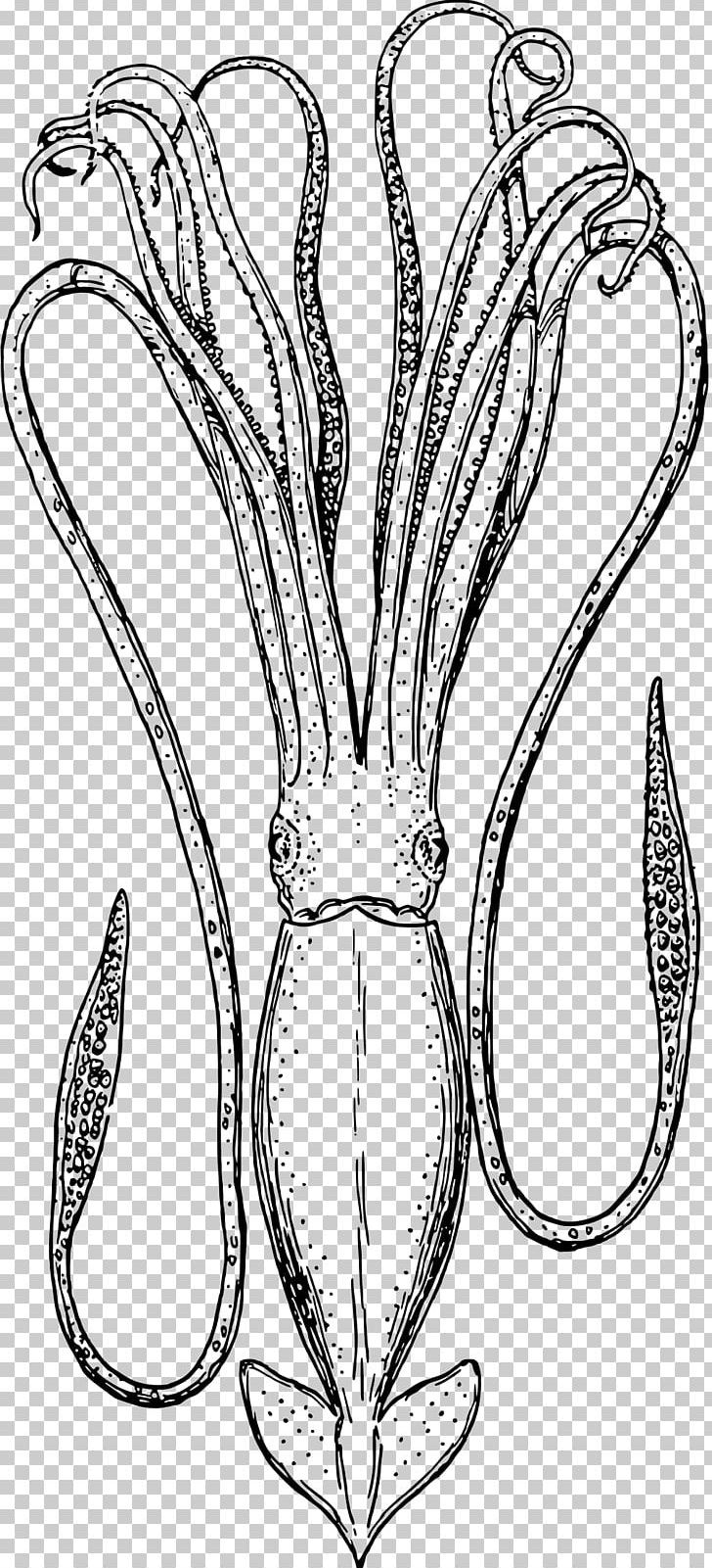 Giant Squid Stuffed Squid PNG, Clipart, Black And White, Body Jewelry, Coloring Book, Colossal Squid, Deep Sea Creature Free PNG Download