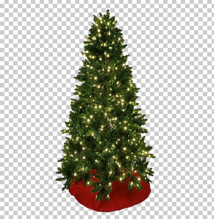 Christmas Tree Spruce Christmas Ornament Fir PNG, Clipart, Christmas, Christmas Decoration, Christmas Ornament, Christmas Tree, Conifer Free PNG Download