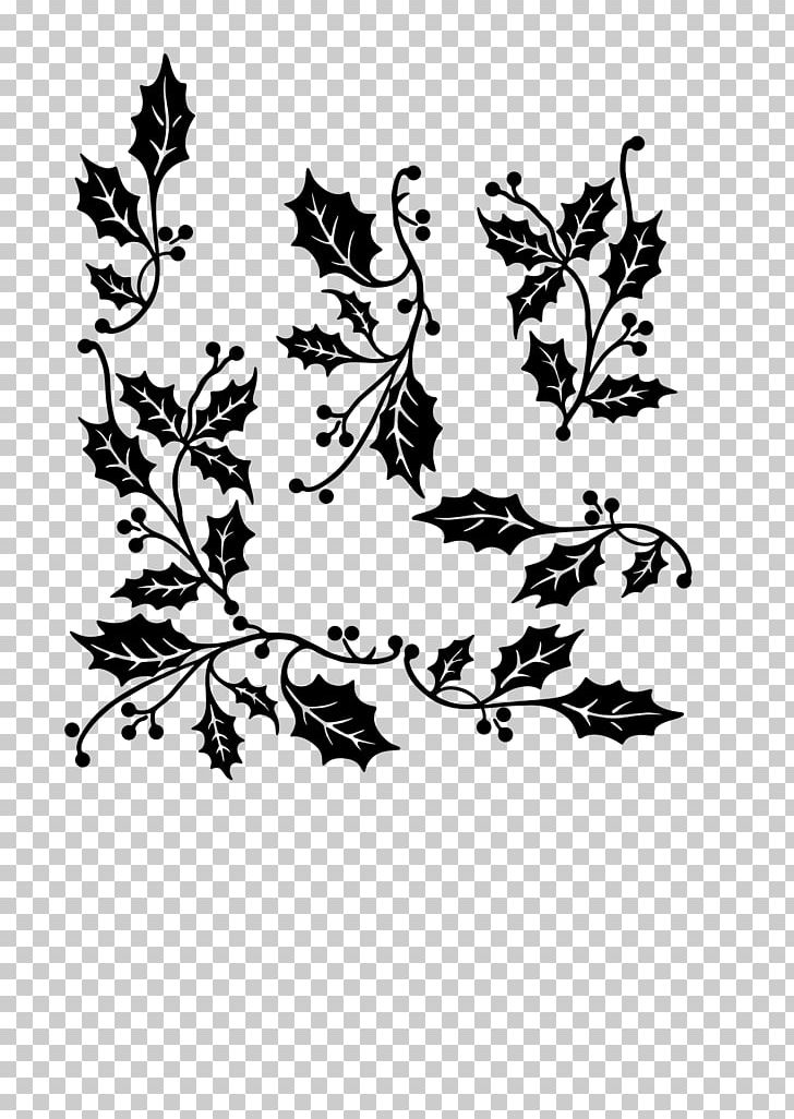 Common Holly PNG, Clipart, Area, Black, Black And White, Border Frames, Branch Free PNG Download