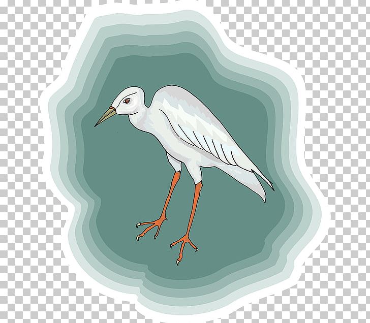 Heron Bird White Stork Crane PNG, Clipart, Animals, Beak, Bird, Charadriiformes, Ciconiiformes Free PNG Download