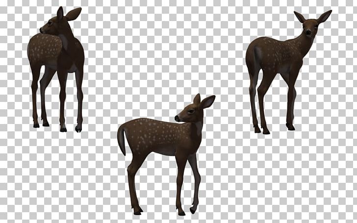 Deer Horse PNG, Clipart, Animals, Antelope, Antler, Computer Icons, Deer Free PNG Download